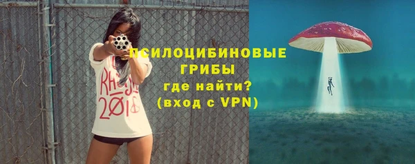 эйфоретик Медногорск