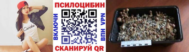 Псилоцибиновые грибы GOLDEN TEACHER  Приволжский 